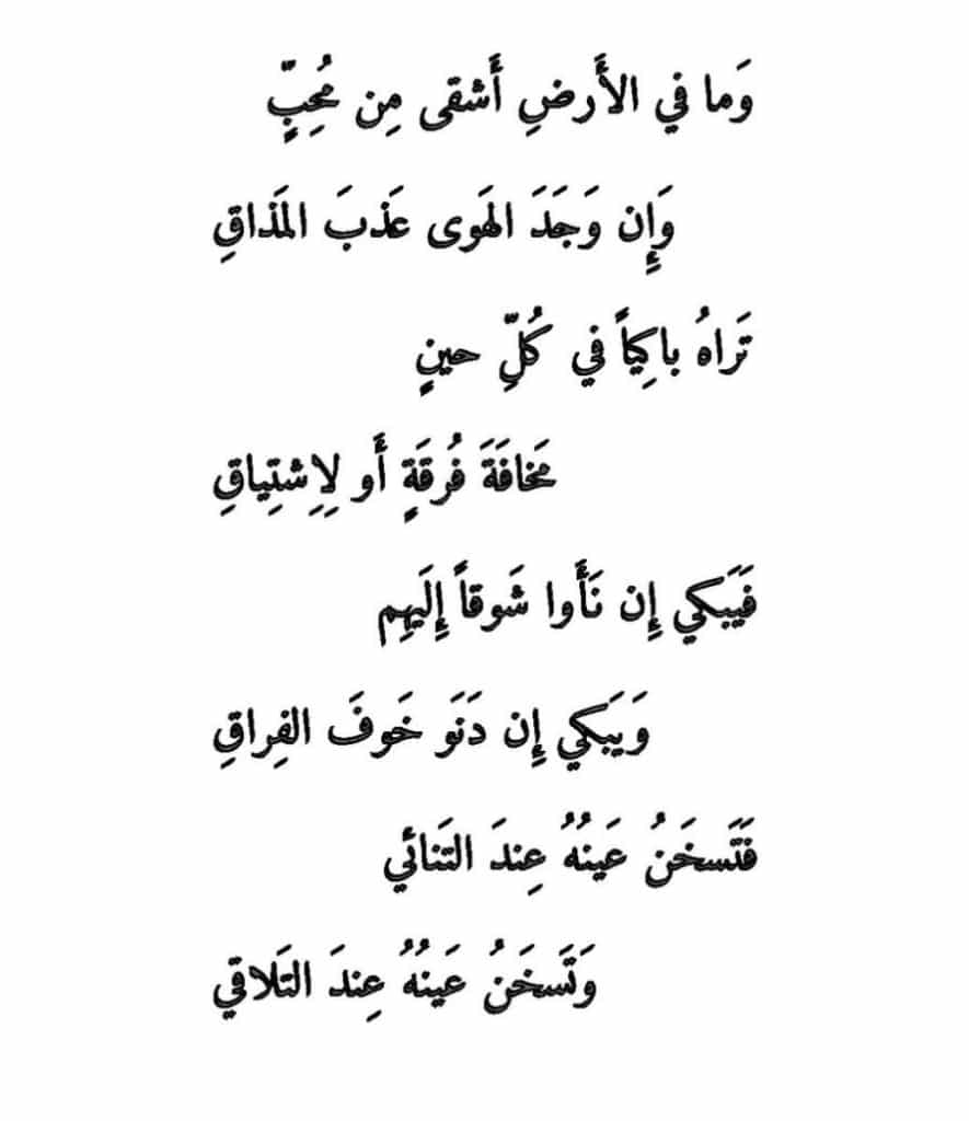 كلام حب جديد
