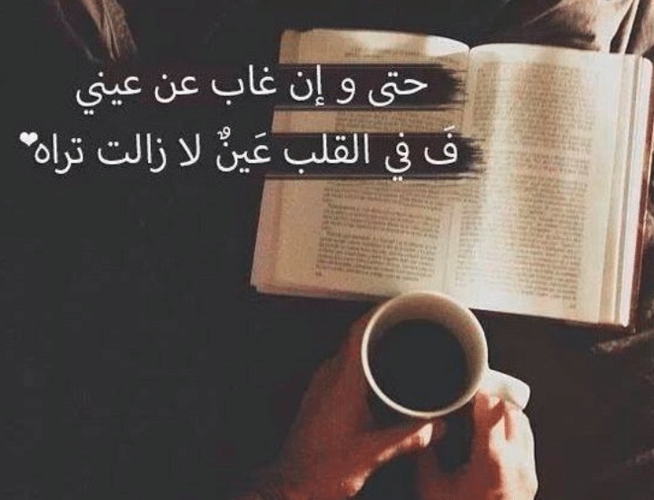 كلام حب جميل ورومانسي