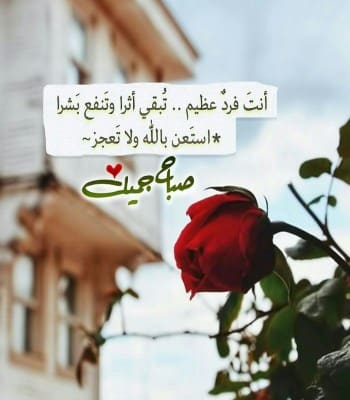 كلام حب جميل ورومانسي