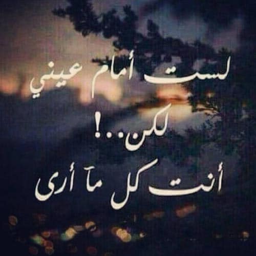 كلام حب قوي لحبيبتي