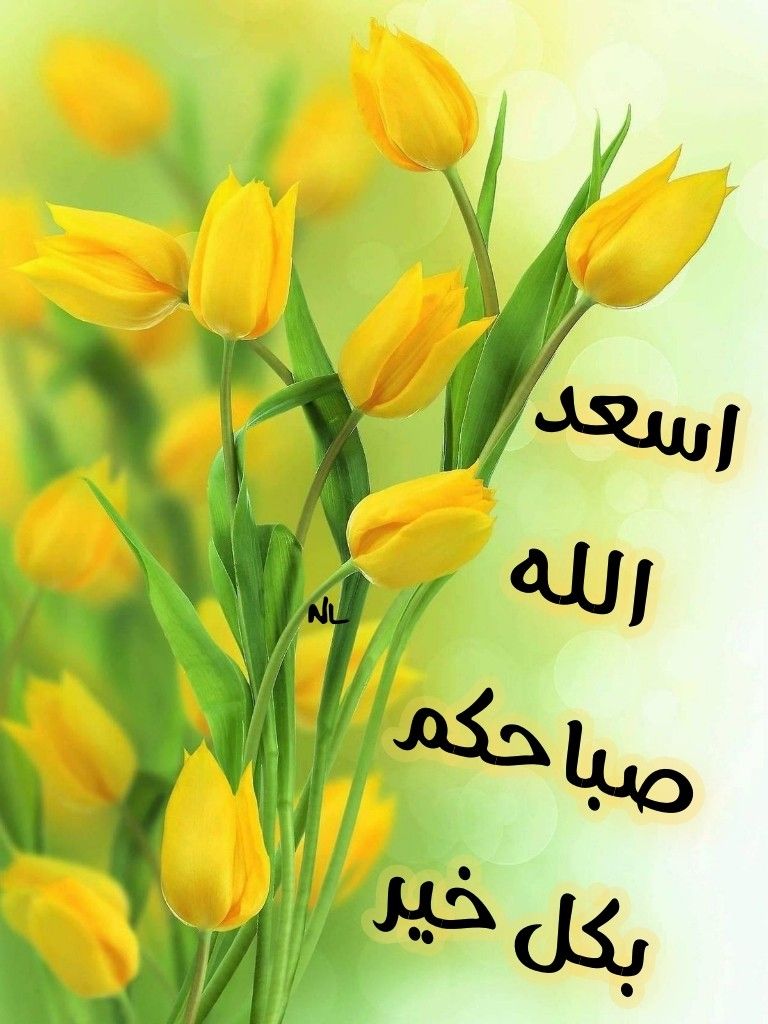 كلام حب يسعد صباحك