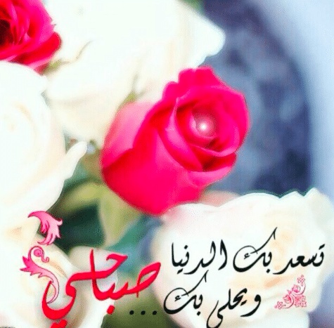 كلام حب يسعد صباحك