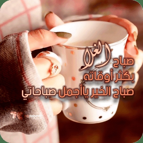 كلام حب يسعد صباحك