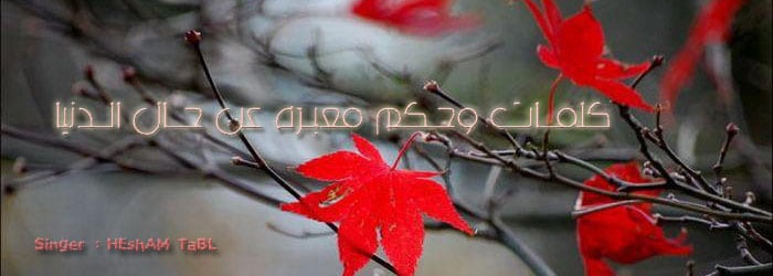كلام حزين عن الحياة