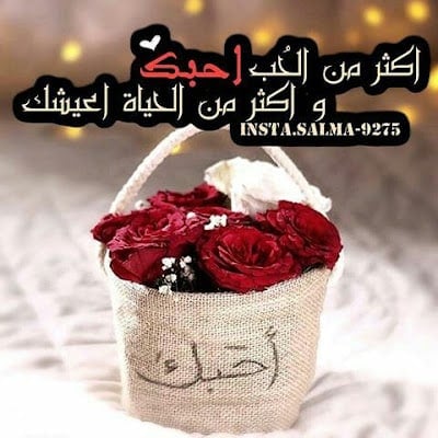 كلام رومانسي اجمل الصور مكتوب عليها كلام حب