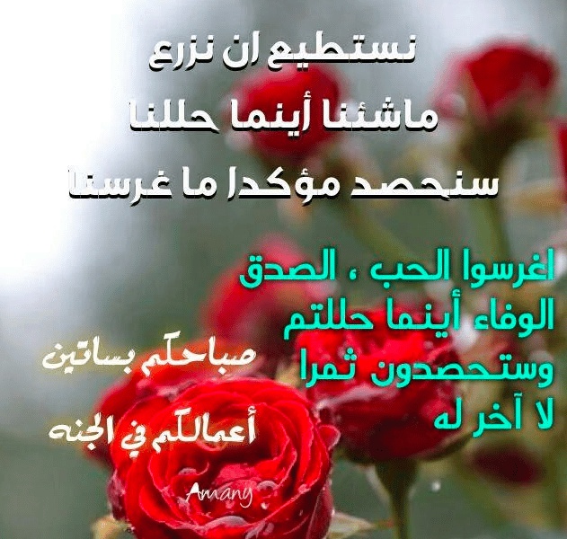 كلام رومانسي اجمل الصور مكتوب عليها كلام حب