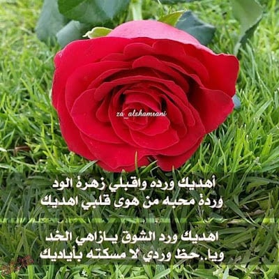 كلام رومانسي اجمل الصور مكتوب عليها كلام حب