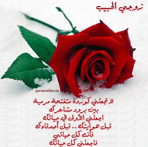 كلام رومانسي اجمل الصور مكتوب عليها كلام حب