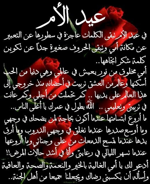كلام عن الام