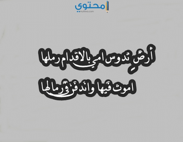 كلام عن الام