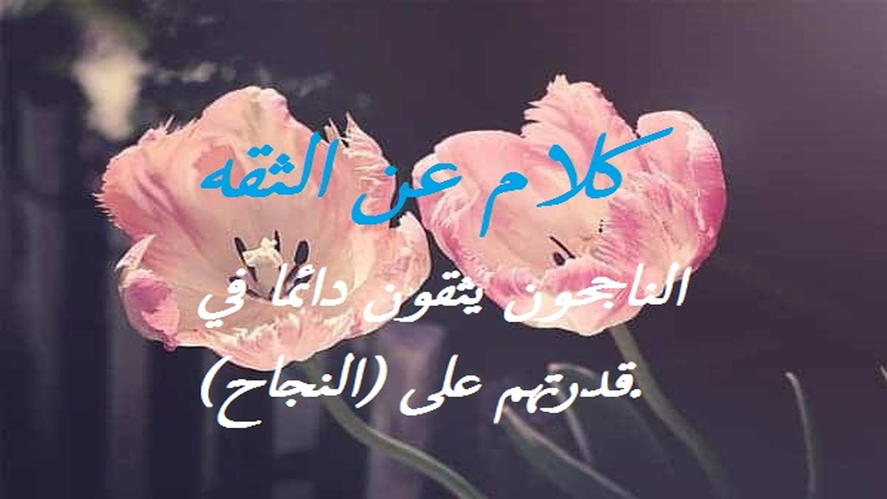 صورة كلام عن الثقه