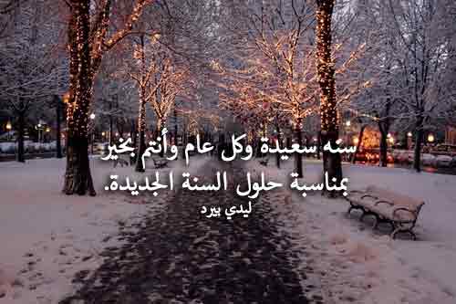 كلام عن السنة الجديدة للحبيب
