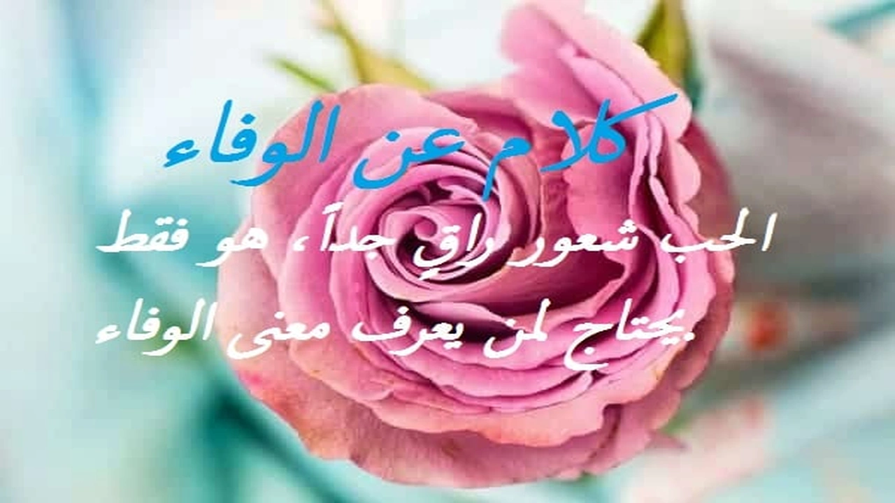 صورة كلام عن الوفاء
