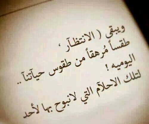 كلام عن انتظار الحب