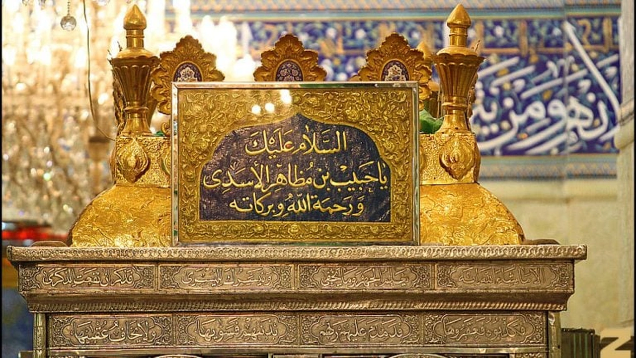 صورة كلام عن حبيب ابن مظاهر