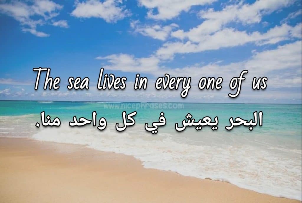 كلام عن صوت البحر