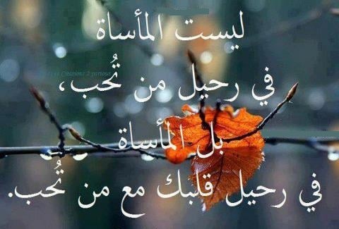 كلام في الصميم عن الحب والفراق