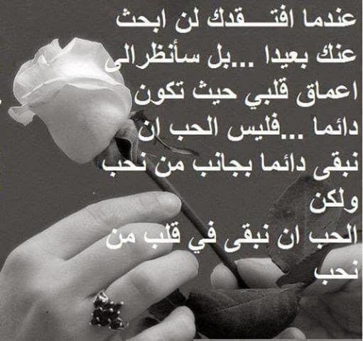 كلام في الصميم عن الحب