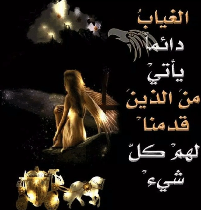 كلام في الصميم عن الحبيب