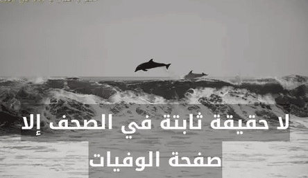 كلام في الصميم عن الحقيقة