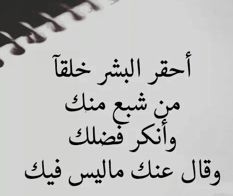 كلام في الصميم عن الحقيقة