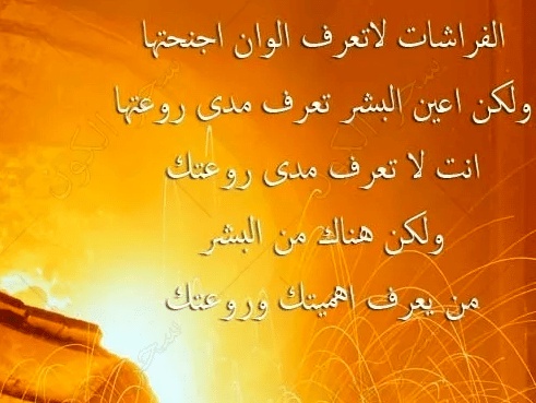 كلام في الصميم عن الحياة