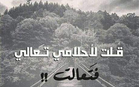 كلام في الصميم عن الحياة