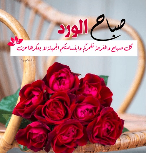 كلام في الصميم عن الصباح