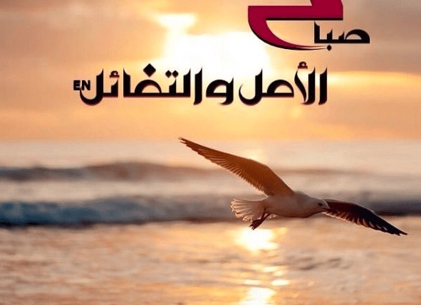 كلام في الصميم عن الصباح