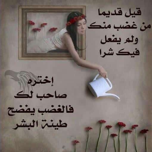 كلام في الصميم قصير عن الحب