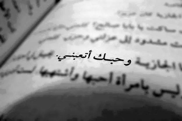 كلام في الصميم للحبيب