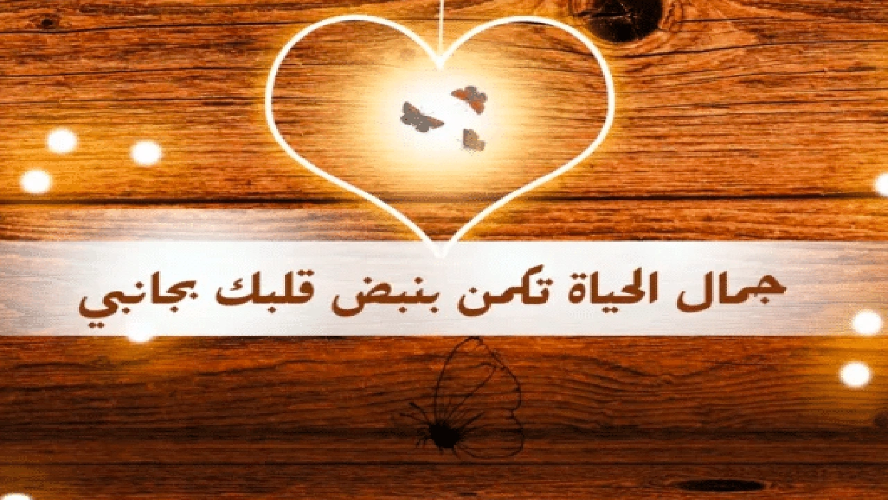 صورة كلام في الصميم للحبيب