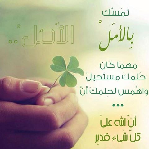 كلام محفز
