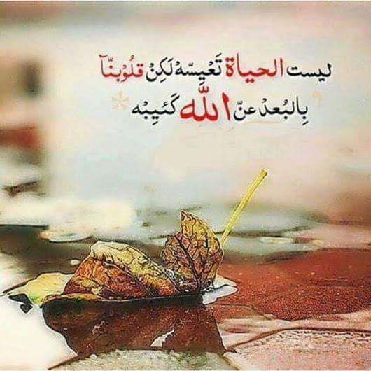 كلام محفز