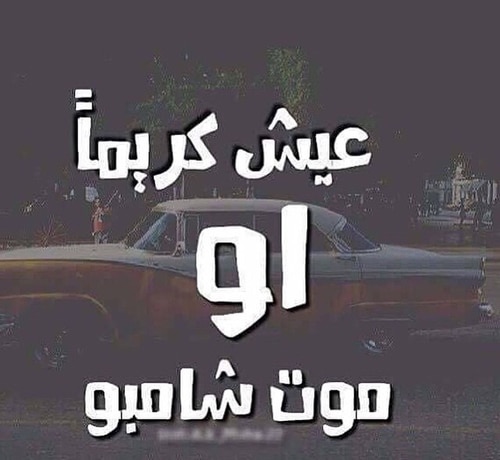 كلام مضحك جدا للفيس بوك