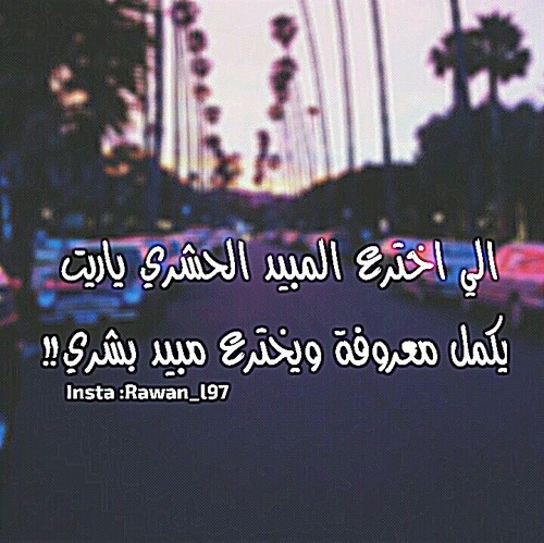 كلام مضحك عن المدرسة