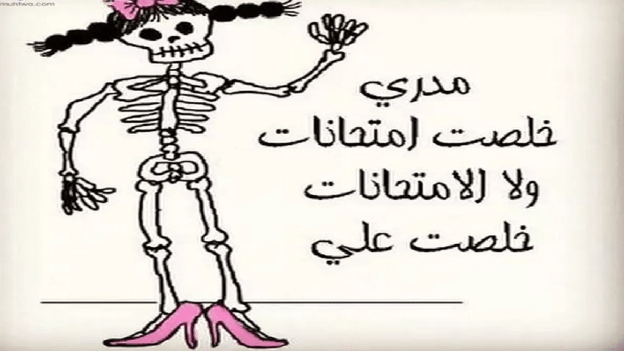 صورة كلام مضحك عن المدرسة