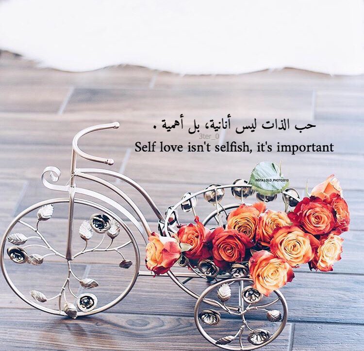 كلام يبرد القلب
