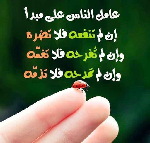 كلام يبهر العقول