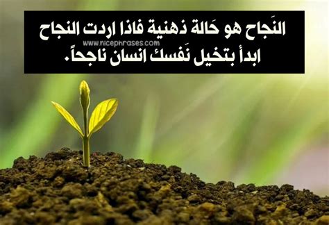 كلام يحفز على النجاح