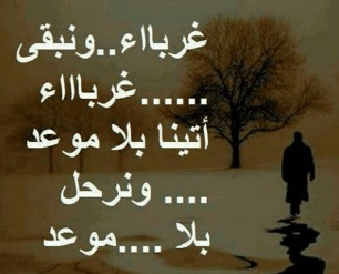 كلام يريح القلب عن الله