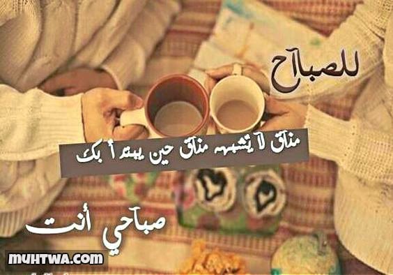 كلام يقال في الصباح للحبيبة