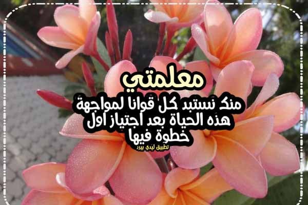 كلمات الشكر للمعلمة