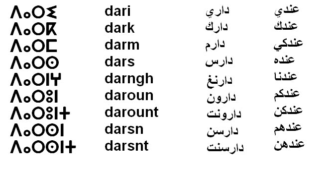 كلمات اليومية بالامازيغية
