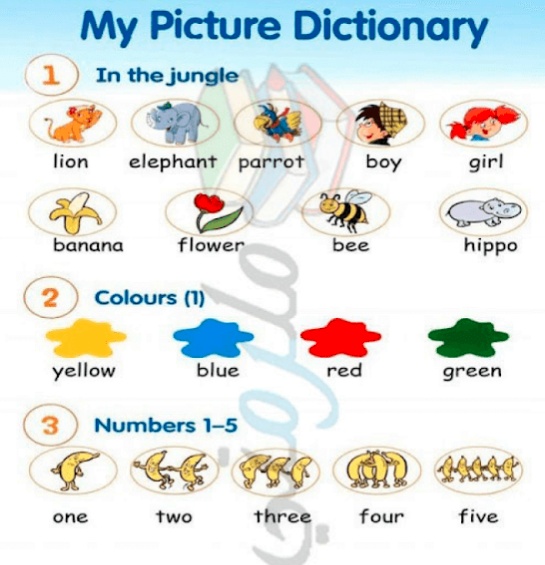 كلمات بالانجليزي للاطفال
