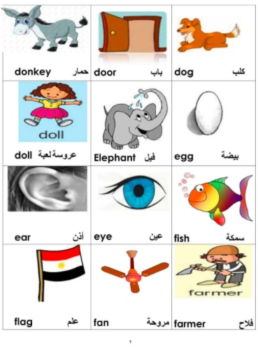 كلمات بالانجليزي للمبتدئين