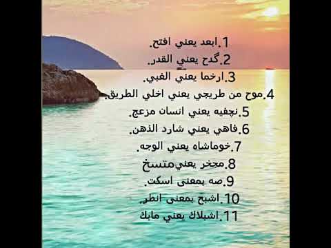 كلمات بالعامية