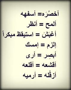 كلمات بالعامية