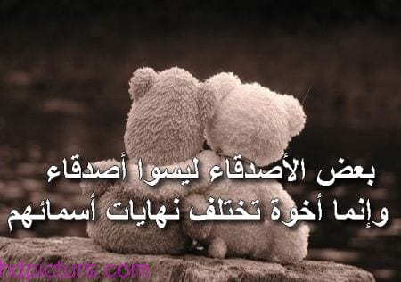 كلمات بالعاميه عن الصداقه