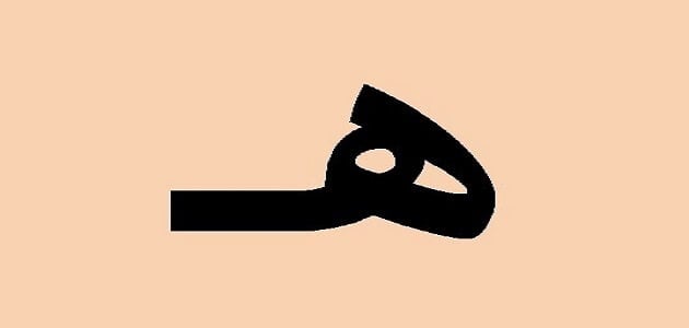 كلمات تنتهي بحرف الهاء